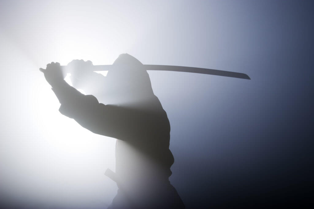 Zatoichi Samurai im Nebel Symbolbild