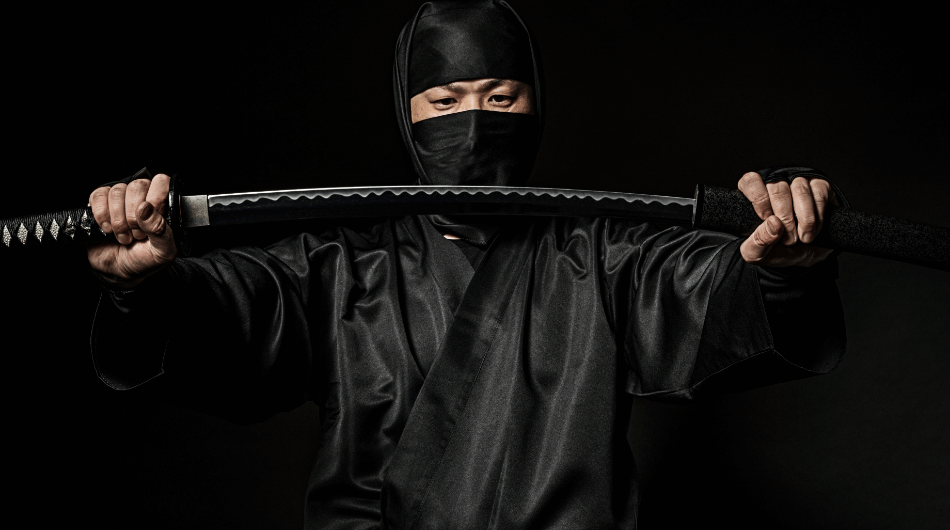 Japans Ninja - Kämpfer im Verborgenen
