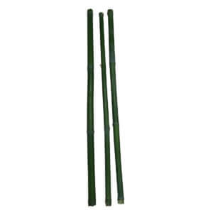 Bambus für Schnittübungen dünn