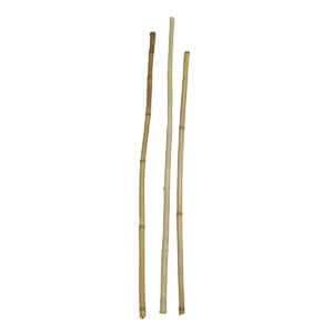 Bambus für Schnittübungen trocken