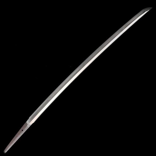 Shinto Katana aus dem 17. Jahrhundert - Naomichi - Nihonto mit Tokubetsu Status – Image 2